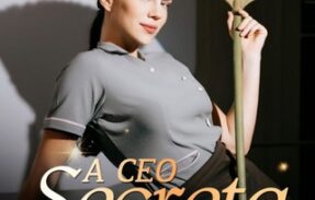 A CEO SECRETA – SÉRIE COMPLETA