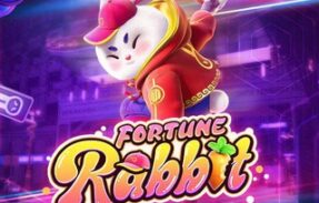 Fortune Rabbit – SINAIS E HORÁRIOS