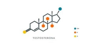 Testosterona por estímulo testicular