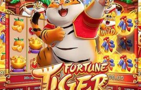 Devinky Fortune Tiger PlayPix