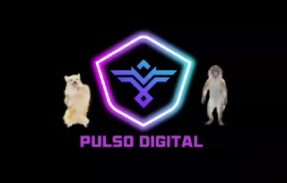 Projeto Pulso Digital Marketing/Dúvidas