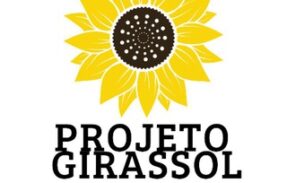 Projeto Girassol 🌻💛