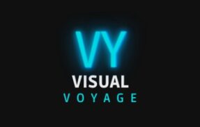 VISUAL VOYAGE/ Designer para iniciantes