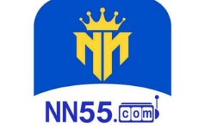 NN55.COM