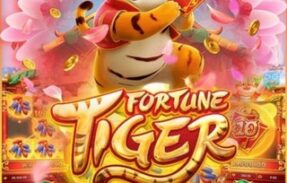 Fortune Tiger & Fortune Rabbit