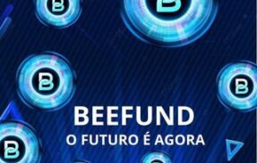 BEEFUND INVESTIMENTOS