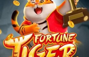 WR | FORTUNE TIGER