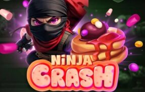 Grupo Vip Ninja Crash