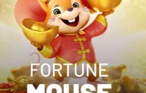 FORTUNE-MOUSE