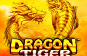 SALA SINAIS VIP DRAGON TIGER