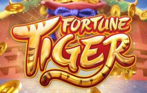 GRUPO FREE FORTUNE TIGER 🎰