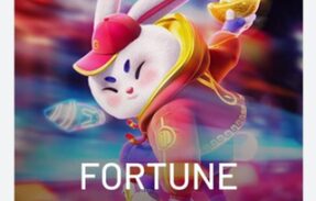 Fortune rabbit 🐰