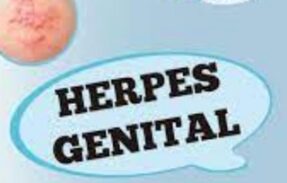 Portadores de herpes genital – chat