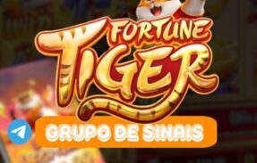 Fortune tiger 🐯plus
