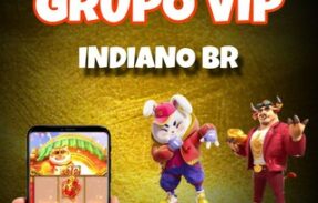 GRUPO VIP DE SINAIS – INDIANO BR