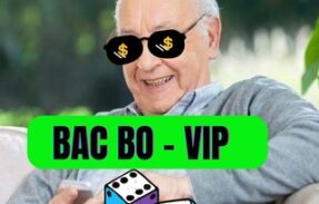 🎲 BAC BO – VIP 🎲