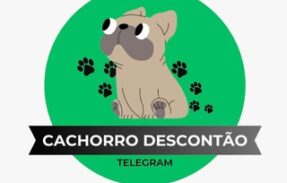 🐕 | Cachorro Descontões | 🛍