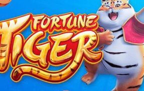 💢 FORTUNE TIGER SINAL VIP 💢