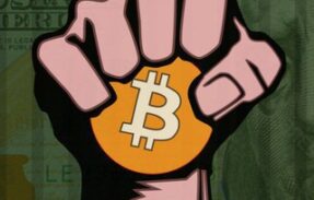 Bitcoin Maximalist – O Canal | pt-BR