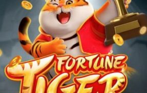Fortune Tiger 1k [Vip Free]