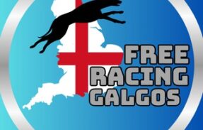 FREE RACING GALGOS ( FREE )