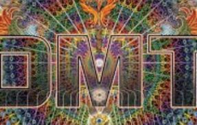 DMT BRASIL