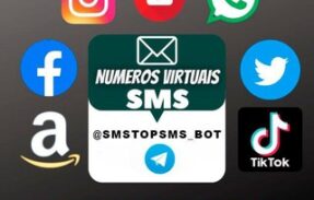 TOP SMS – (BOT)