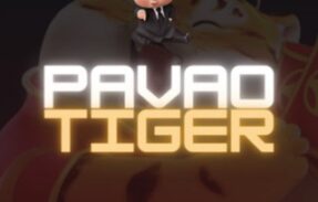PAVAO – TIGER