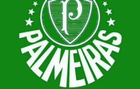 Palmeiras Arquivo 🏆🇳🇬🐷