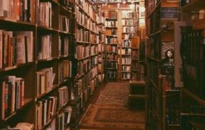 Biblioteca 📚 livros em pdf📖