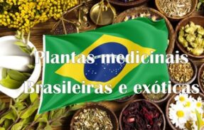 Plantas Medicinais Brasileiras