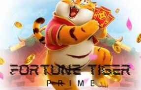 [VIP] Fortune Tiger Prime 💎