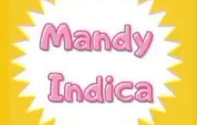 Mandy Indica – PROMOÇÕES E ACHADINHOS 🤑🛍🛒
