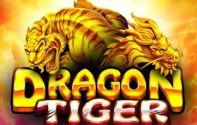 DRAGON-TIGER 🐲