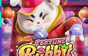 🐰 Robô Fortune Rabbit 🐰