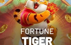 Fortune Tiger – playpix