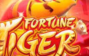 FORTUNE TIGER- REALSBETS