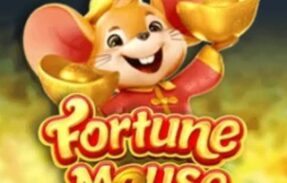 SALA VIP: FORTUNE MOUSE