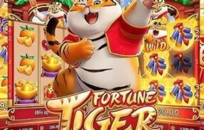 Fortune Tiger 🤑😍🥰