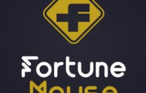 Fortune MOUSE Creative