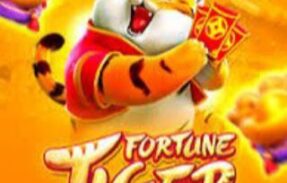 Fortune tiger – Matheus