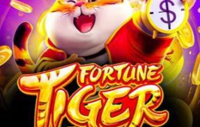 Tiger fortune [VIP 30 💎]