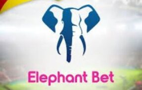 💣 HACK MINES ELEPHANT BET FRE 💣
