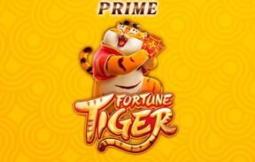 ROBÔ FORTUNE TIGER PRIME🐯