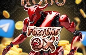 ROBÔ FORTUNE OX 🐂